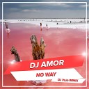 DJ Amor - No Way DJ VoJo Radio Edit