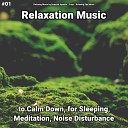 Relaxing Music by Dominik Agnello Yoga Relaxing Spa… - Comforting Energy