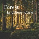 Endless Cure - Forest Instrumental