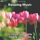 Slow Music Relaxing Music Yoga - Fantastic Meditation for Sleep