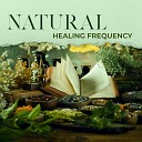 Healing Frequency Music Zone - Meditation Nature Melody