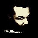 Пыль - Птицы в снегу