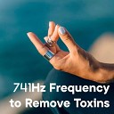 The Healing Project Schola Camerata - 741Hz Frequency To Remove Toxins