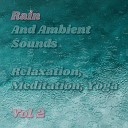Nature Sounds Rain Sounds Nature Sounds Nature… - Rain and Ambient Sounds Pt 1