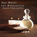 Relaxing BGM Project - Celestial Spa Sojourn