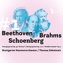 Stuttgarter Kammerorchester, Thomas Zehetmair - I. Allegro Non Troppo, Ma Con Brio