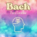 The Healing Project Schola Camerata - Bach para Estudiar