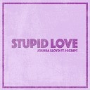 Joshua Lloyd feat J Script - Stupid Love