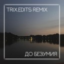 TRIX edit - До безумия Sasha Stone Remix