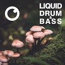 Dreazz - Liquid Drum Bass Sessions 2020 Vol 31