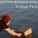 Bush Gothic Angharad Jenkins - Sosban Fach