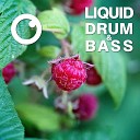 Dreazz - Liquid Drum Bass Sessions 2020 Vol 13