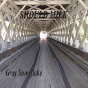Gray Snowflake - What is Real