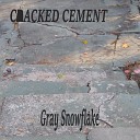 Gray Snowflake - A Bad Position