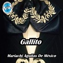 Mariachi guilas de M xico - El Relicario