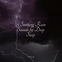 Amazing Spa Music Ready Baby Music Rain Sounds XLE… - Rain Thunder Evening