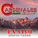 Los Cardenales De Sinaloa - Llorar Llorar En Vivo
