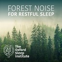 The Oxford Sleep Institute - Forest Noise for Restful Sleep Pt 7