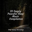 Study Concentration Deep Sleep Meditation… - Pure Deep Sleep