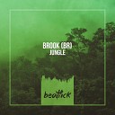 Brook BR - Jungle Original Mix