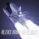Aleks Born - In Flight