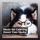Sleeping Music for Dogs - Calming Music for Stressed Dogs Pt 3