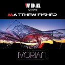 WDM Groove Matthew Fisher - Ivorian Radio Edit