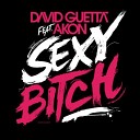 Akon feat David Guetta - Sexy Bitch Radio Edit