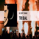 DJ zzet Y lmaz - Tribal