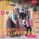 Trio Oesch - En urchige Schwarzenegger Schottisch