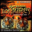 Banda Los Tigres De Pahuatlan Hidalgo - Cerca del Mar