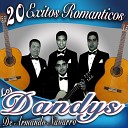 Los Dandys de Armando Navarro - Ni del Cielo Ni de Mi