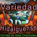 Trio Variedad Hidalguense - Yo Soy de los Dos Amigos