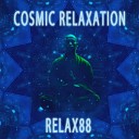 RELAX88 - Cosmic Relaxation