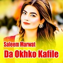 Saleem Marwat - Meena Pa Paise Kavi
