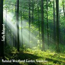 Steve Brassel - Natural Woodland Garden Ambience Pt 10