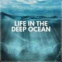 Calming Ocean - Sea Meditations Pt 6