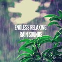 Heavy Rain Sounds - Wet Walks