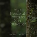 Ambient Music Therapy Nature Sound Collection Medita o… - Calm Spa Music