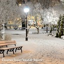 Steve Brassel - Christmas Season Snowfall Ambience Pt 2
