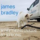 Bradley James - Something Inside so Strong