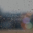 Relaxation Music Guru Binaural Beats Brain Waves Isochronic Tones Brainwave Entrainment Sleep Sound… - Peaceful Tranquility