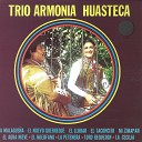 Trio Armonia Huasteca - La Pasion