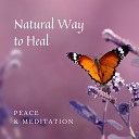 Zen Soothing Sounds of Nature - Meditation by the Sea