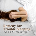 Restful Sleep Music Collection - Soothing Harp