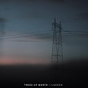 Trees Up North - Ladder Radio Edit