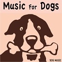 Dog Music - Scarborough Fair