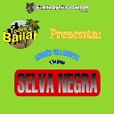 Andr s Villanueva Y Su Grupo Selva Negra - A Bailar Cumbia