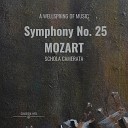 Classical Hits Schola Camerata - Menuetto y Tr o Symphony No 25