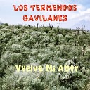 Los Tremendos Gavilanes - Bonita Como Mi Madre